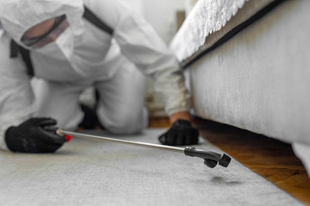 Professional Pest Control technician working in Barnes County County, ND